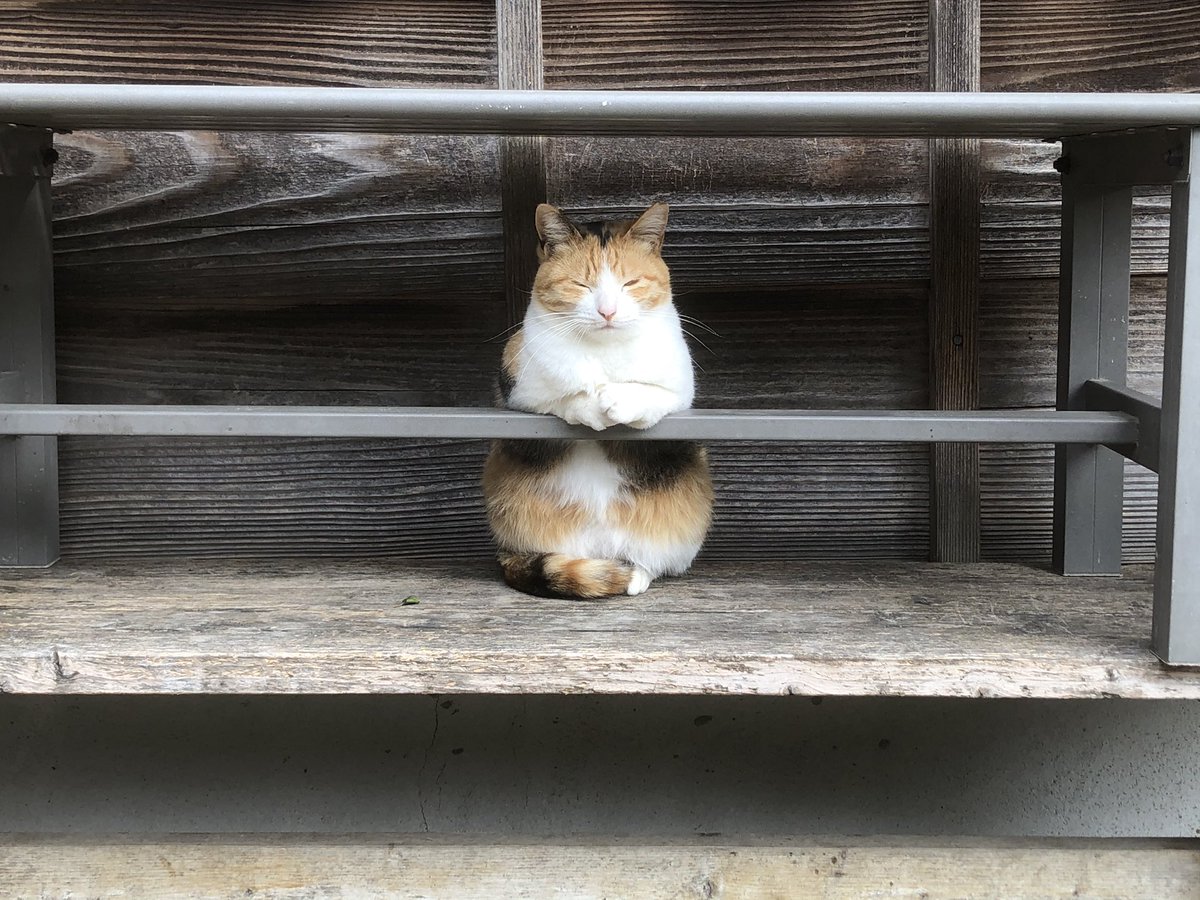 かんちゃんひさびさにバーやってる 