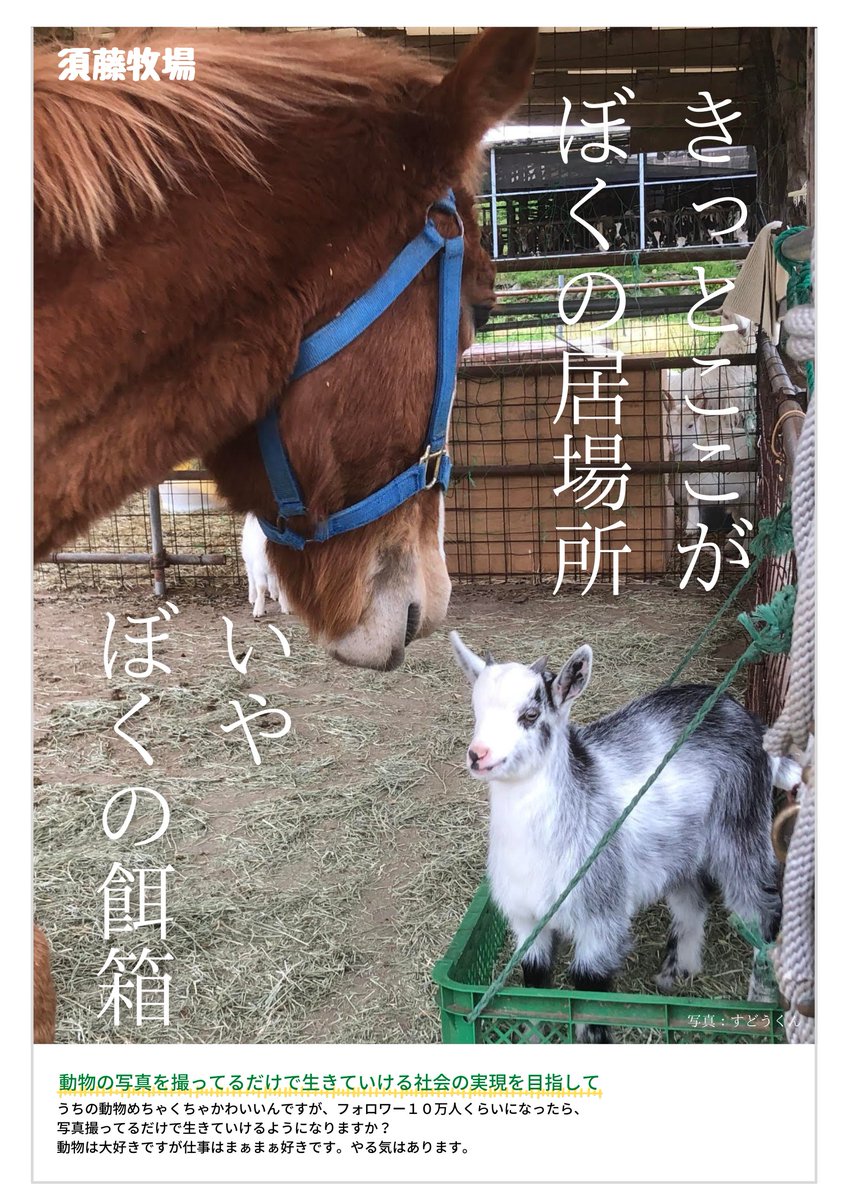 ぼくもポスター作りました 