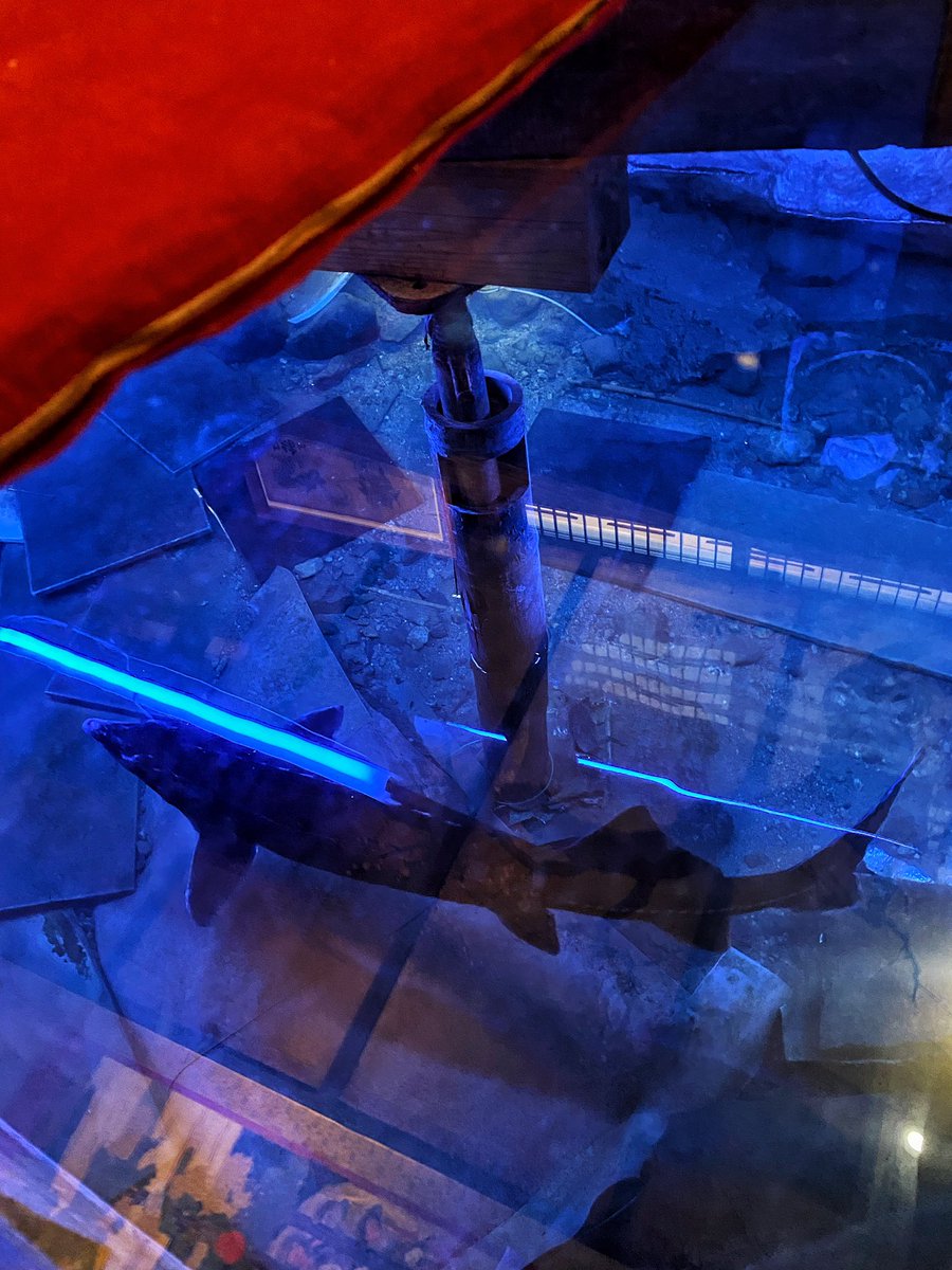 何言ってるかわかんねーと思うが、福島の山奥には床下でチョウザメが泳いでいるのを眺めながら揚げたてのドーナッツが食べられる豆腐屋がある 