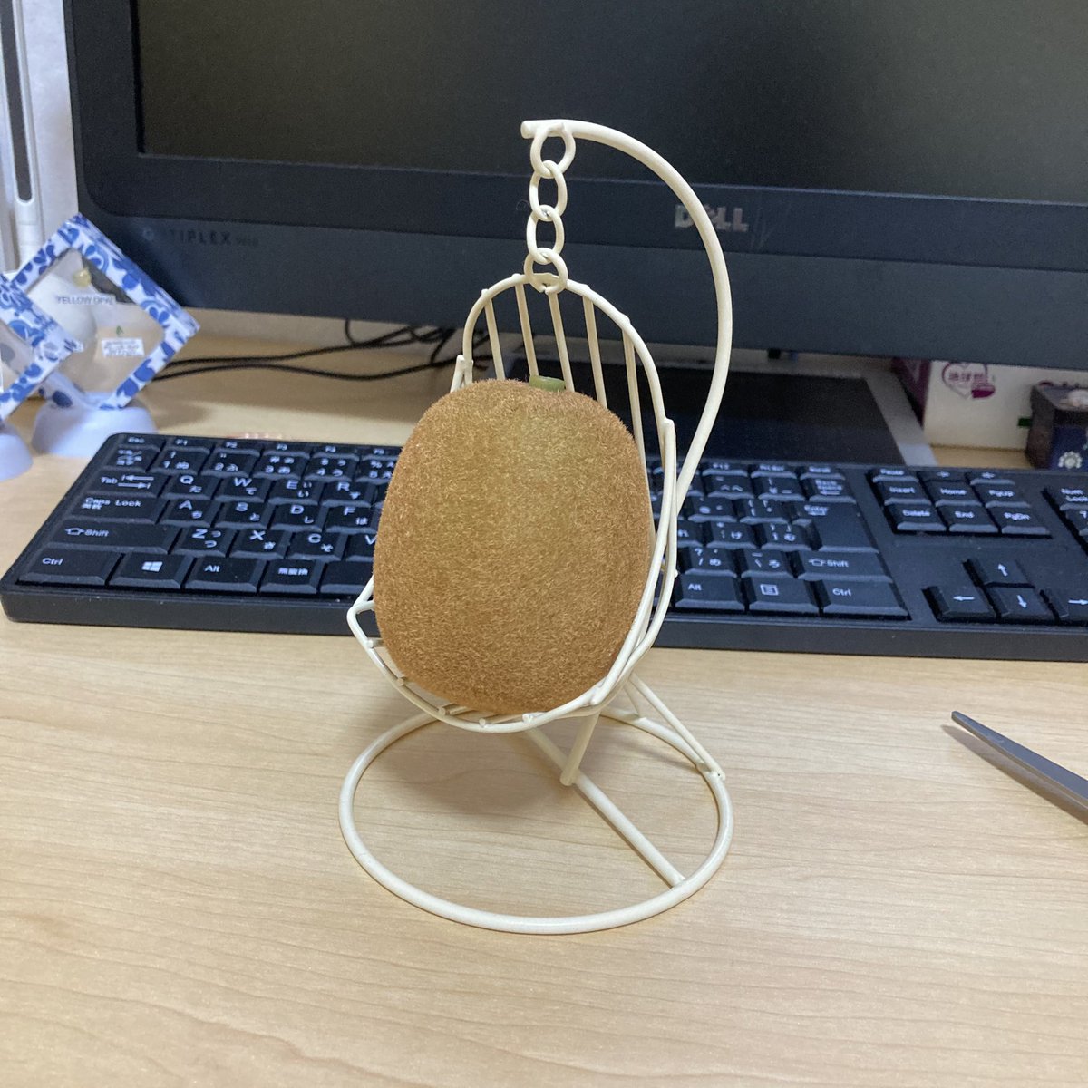 ダイソーのこれキウイ座らせるのにぴったりやわ 