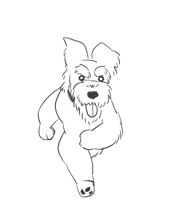 いい写真撮ってもらえたなって思ったんだけど、なんかじっと見てたら二本足で走ってるようにしか見えなくなってきた…