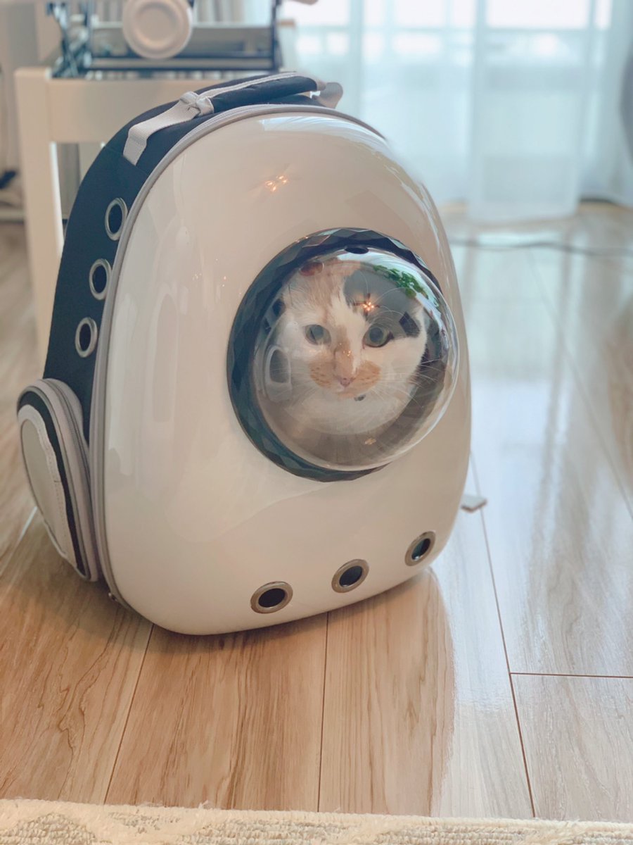 「ねこを連れた防災避難時には、ねこリュックがいい」と獣医さんに聞いたので買ってみました