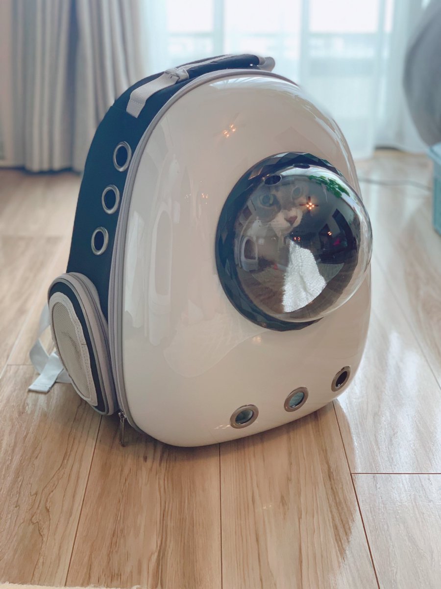 ｢ねこを連れた防災避難時には、ねこリュックがいい｣と獣医さんに聞いたので買ってみました