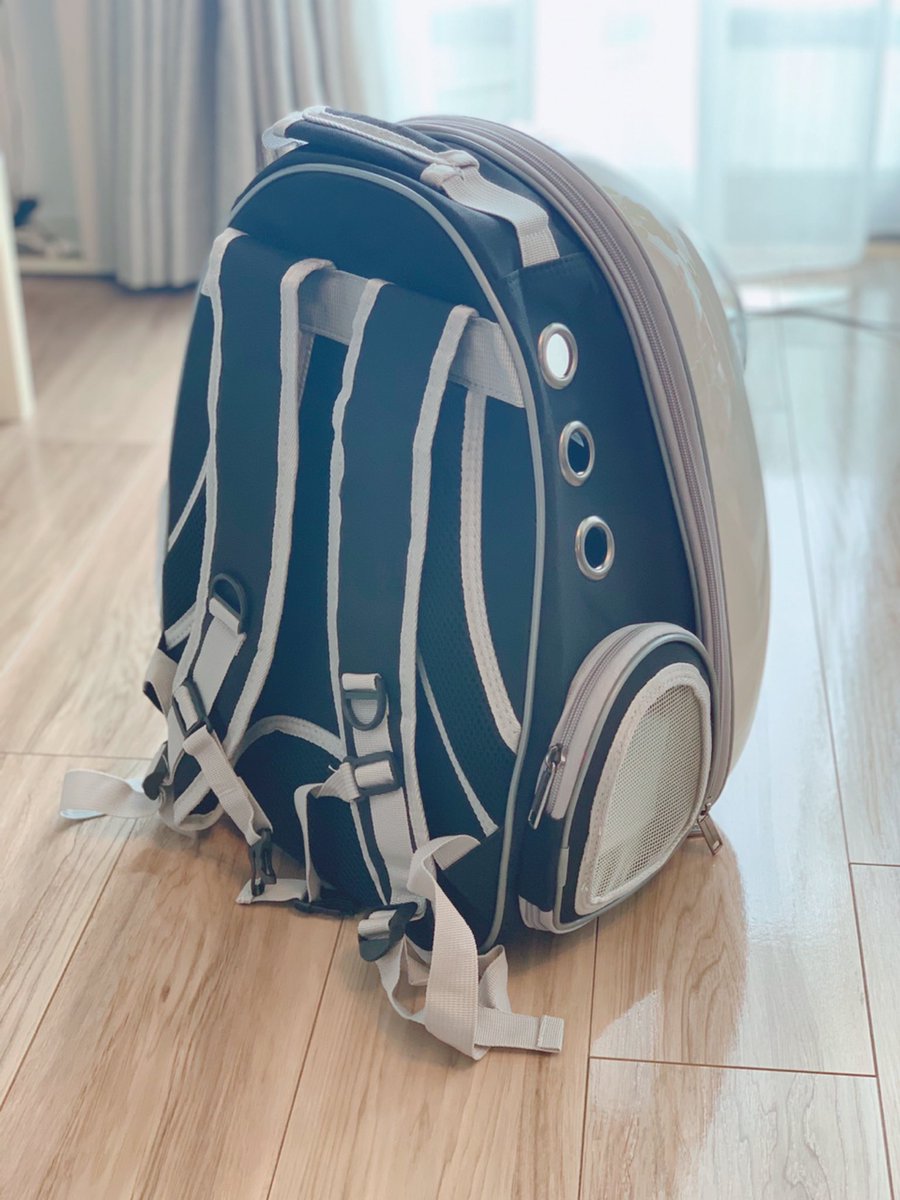 ｢ねこを連れた防災避難時には、ねこリュックがいい｣と獣医さんに聞いたので買ってみました