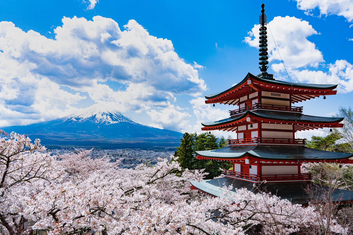 ニッポン欲張りセット撮れました 