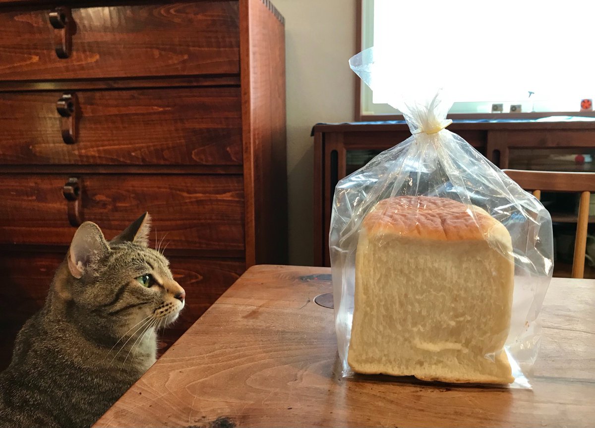 ｢主人が食パンを買ってきてくれたので、今から食べる