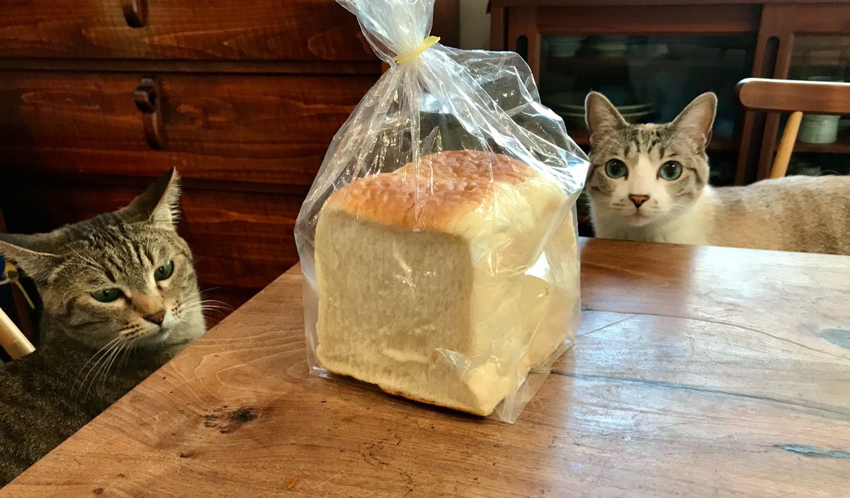 ｢主人が食パンを買ってきてくれたので、今から食べる