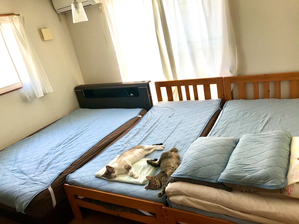 Nクールに変えた途端、これですわ 