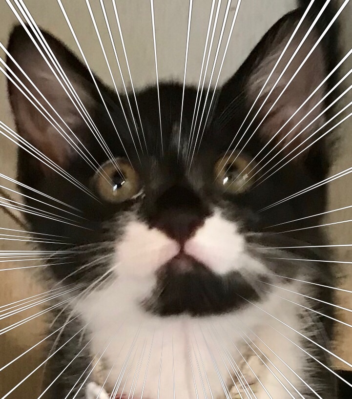 父にLINEをしたら、的確過ぎて笑った 