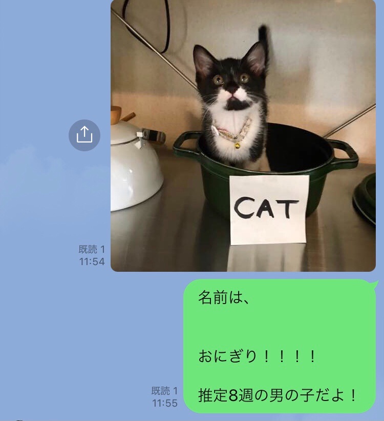 父にLINEをしたら、的確過ぎて笑った 
