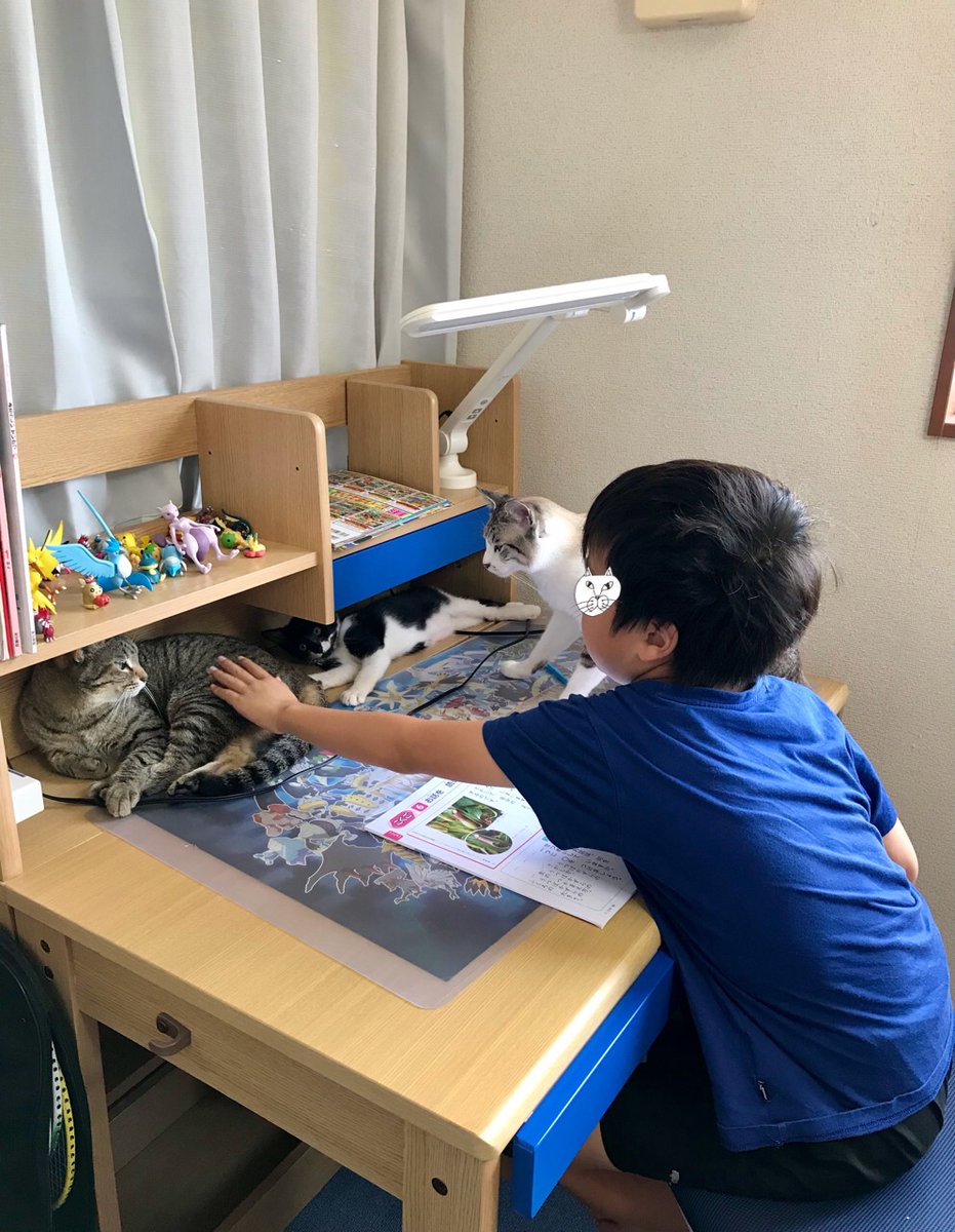 「宿題、自分の部屋でしてくる」とか言うもんだから、めずらしい…と思ってたら、ネコがいる所でしたかったんだって