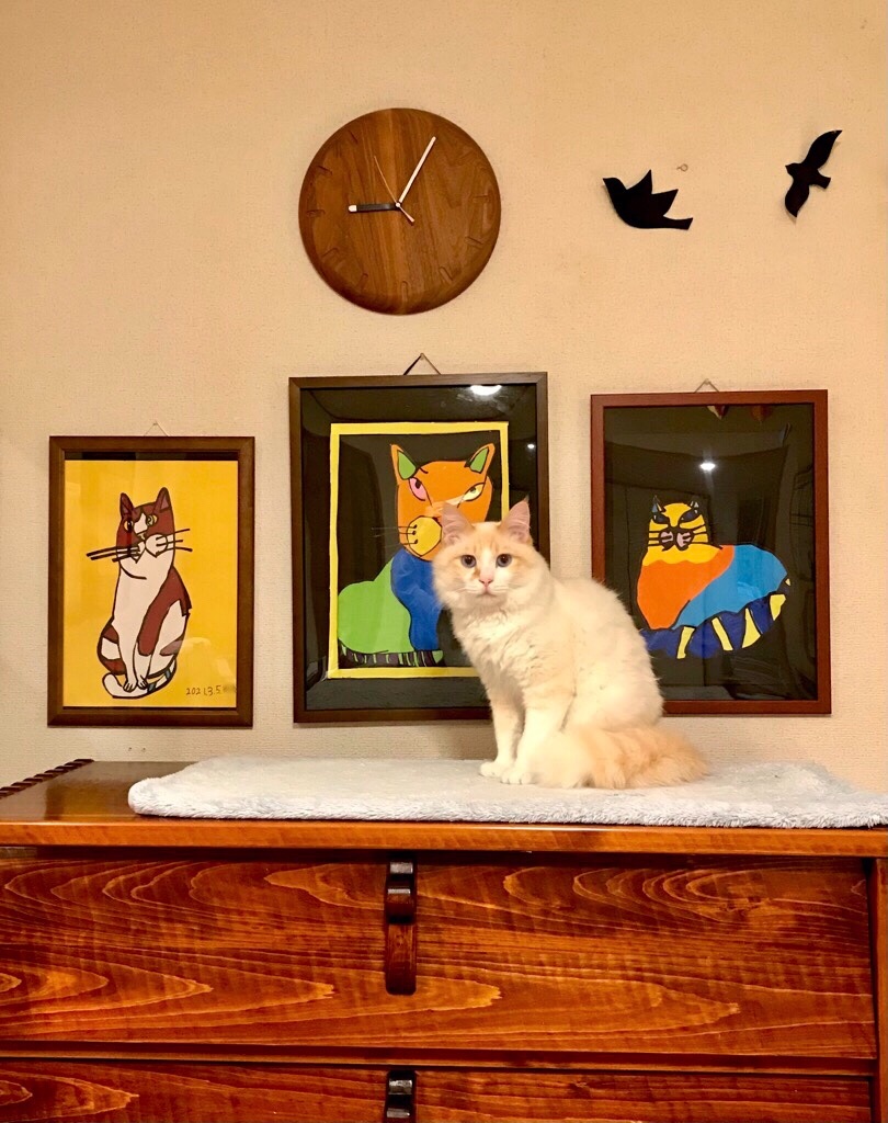 ｢キミを作ったんだよ、虹色でかわいかろ｣と言ってネコを抱きしめた息子