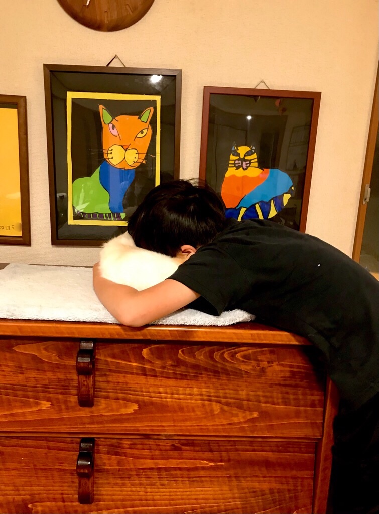 ｢キミを作ったんだよ、虹色でかわいかろ｣と言ってネコを抱きしめた息子