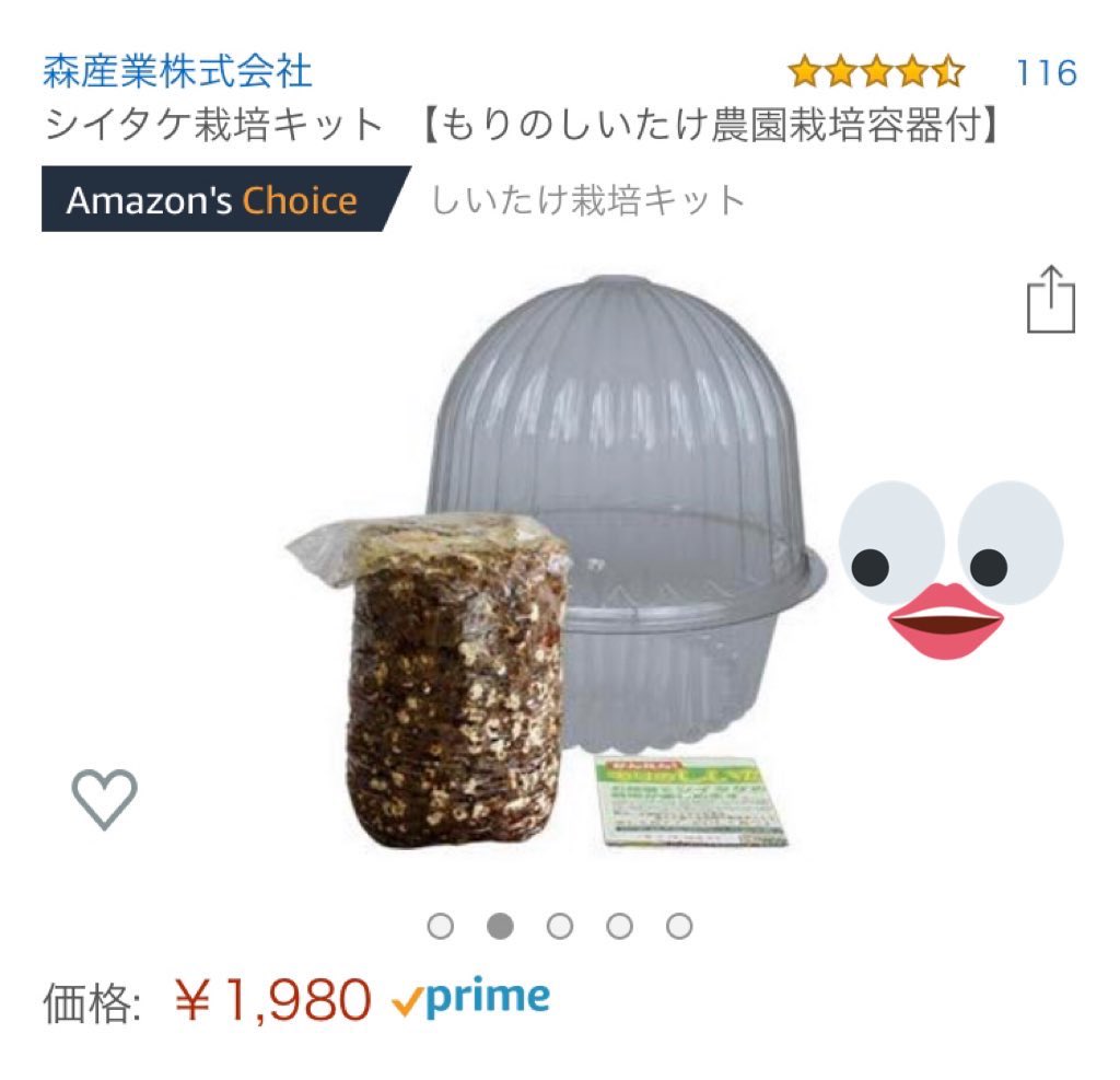 みんな〜〜🌝 しいたけ栽培に適した時期が来たわよ〜〜✌️ お家自粛で暇ならしいたけ育てて生産性高めてこ〜〜 コロナよりもしいたけ菌に感染した方がお腹に優しい〜〜✨👀