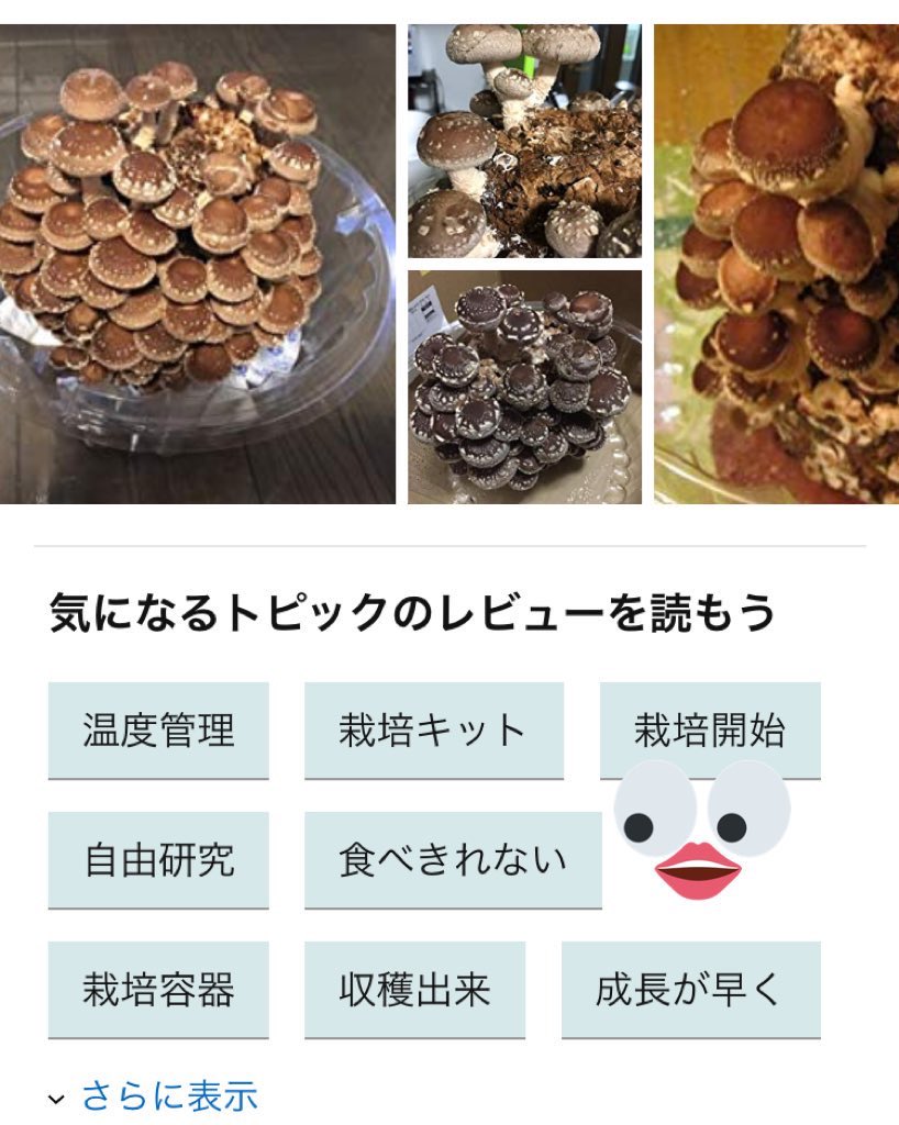 みんな〜〜🌝 しいたけ栽培に適した時期が来たわよ〜〜✌️ お家自粛で暇ならしいたけ育てて生産性高めてこ〜〜 コロナよりもしいたけ菌に感染した方がお腹に優しい〜〜✨👀