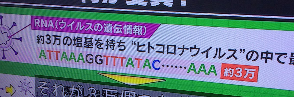 RNAにTだと...？ おい、ミヤネ屋。 
