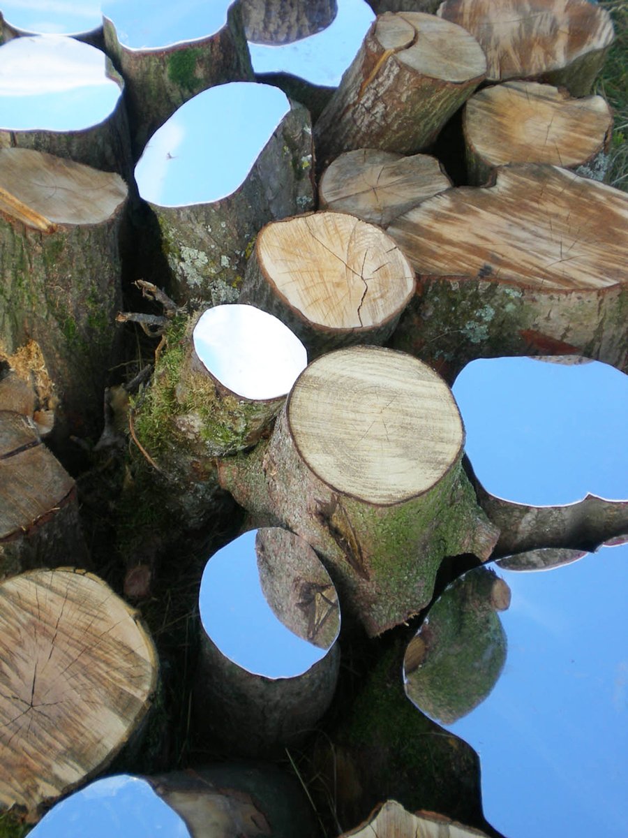 スコットランドのアーティスト、リー・ボースウィックの作品