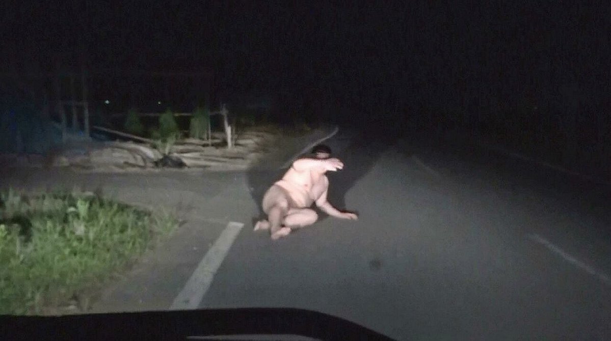 ドライブしてたら野生のデブに遭遇しました‼️ 