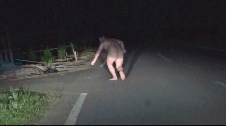 ドライブしてたら野生のデブに遭遇しました‼️ 