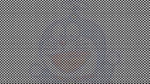 10人中9人が見えない画像です  見えた人RT 