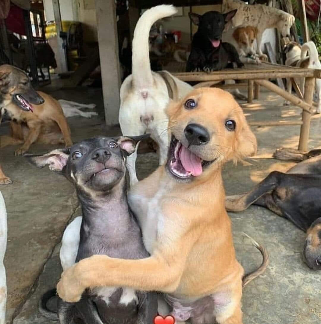 って送られてきたのがこちらです 