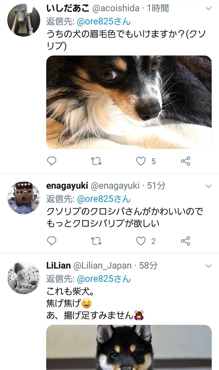 世界中がこんな素敵なクソリプで埋め尽くされますように 