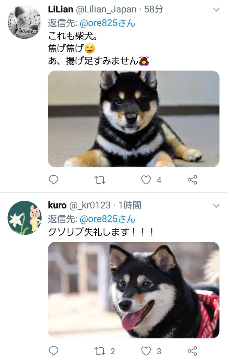 世界中がこんな素敵なクソリプで埋め尽くされますように 