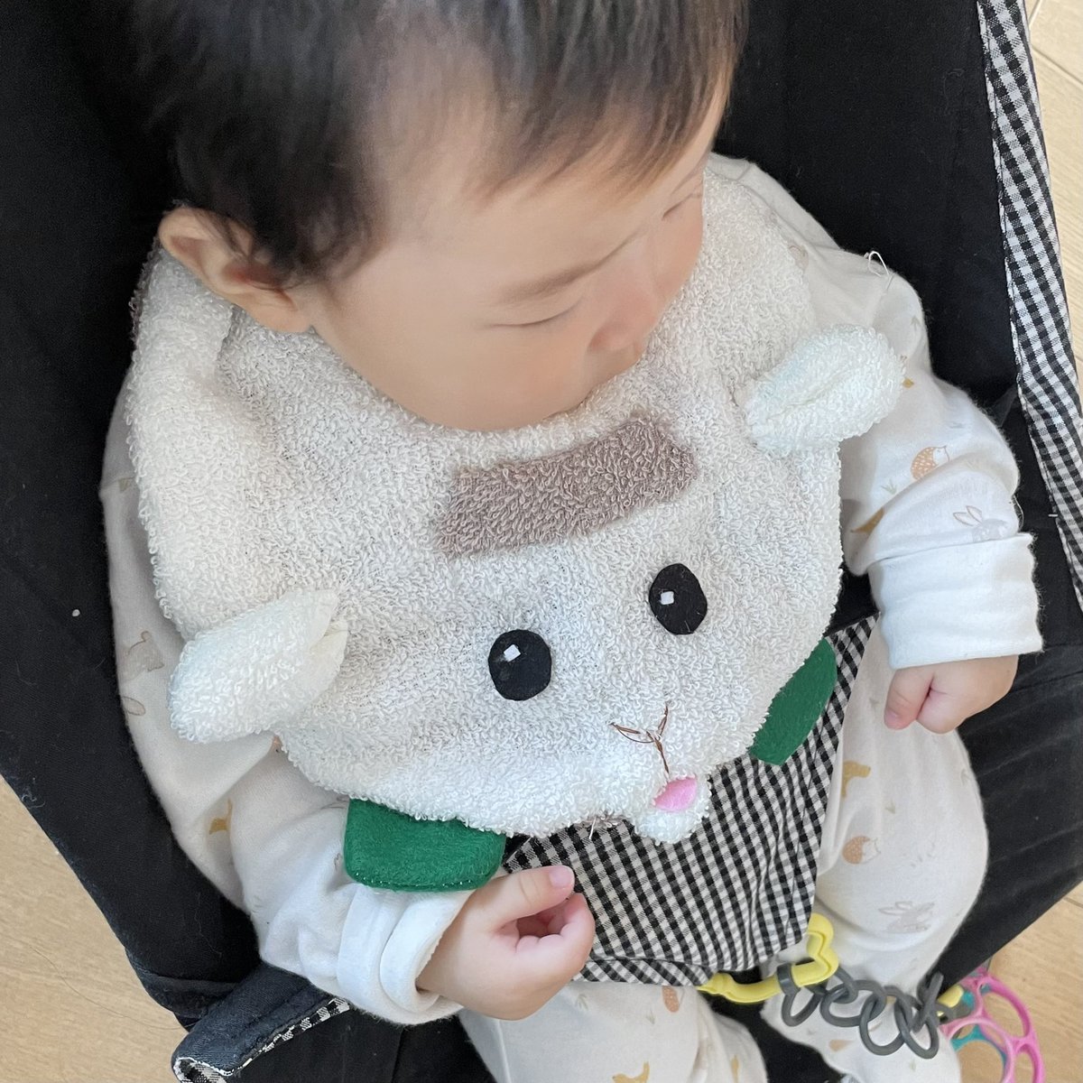 タオル地でふわふわ☁️ 引っ張られてもみくちゃになるとらしさが増すねw #モルカー 