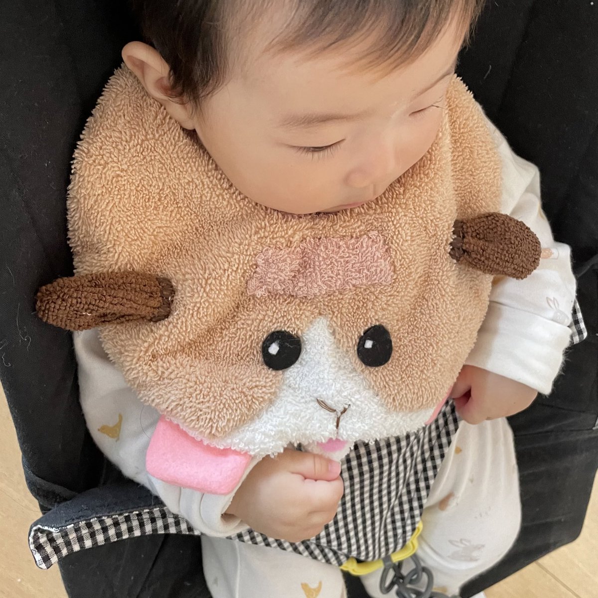 タオル地でふわふわ☁️ 引っ張られてもみくちゃになるとらしさが増すねw #モルカー 