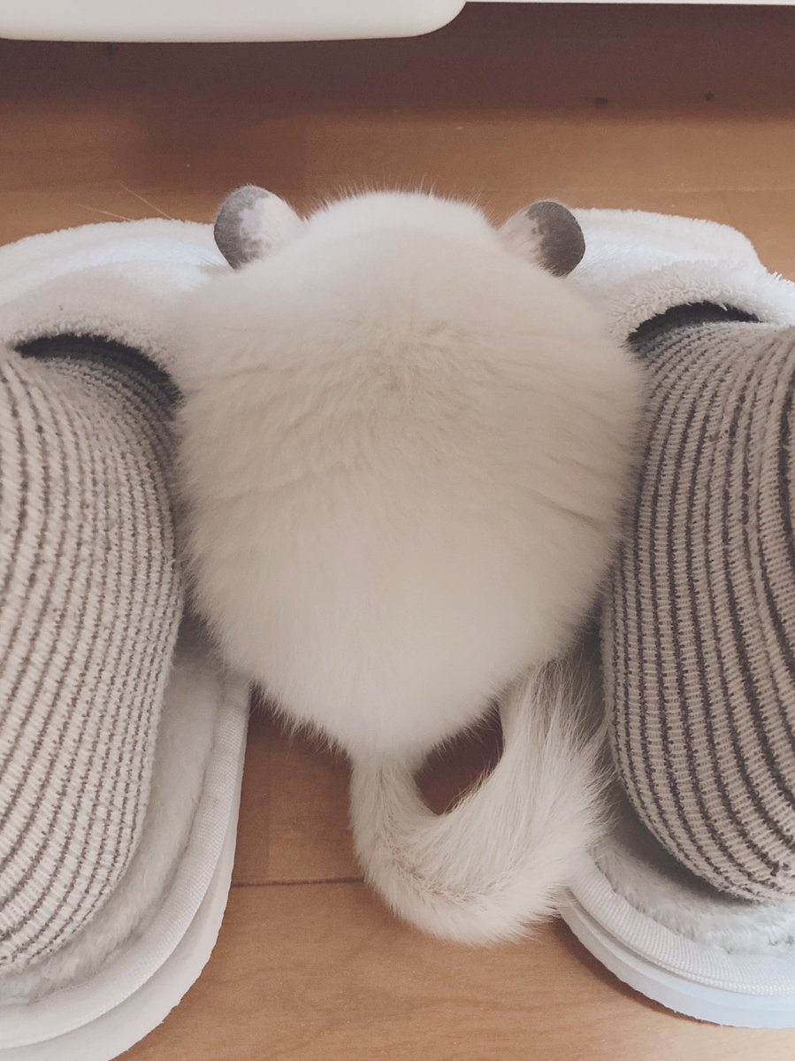 よくここで寝てる 