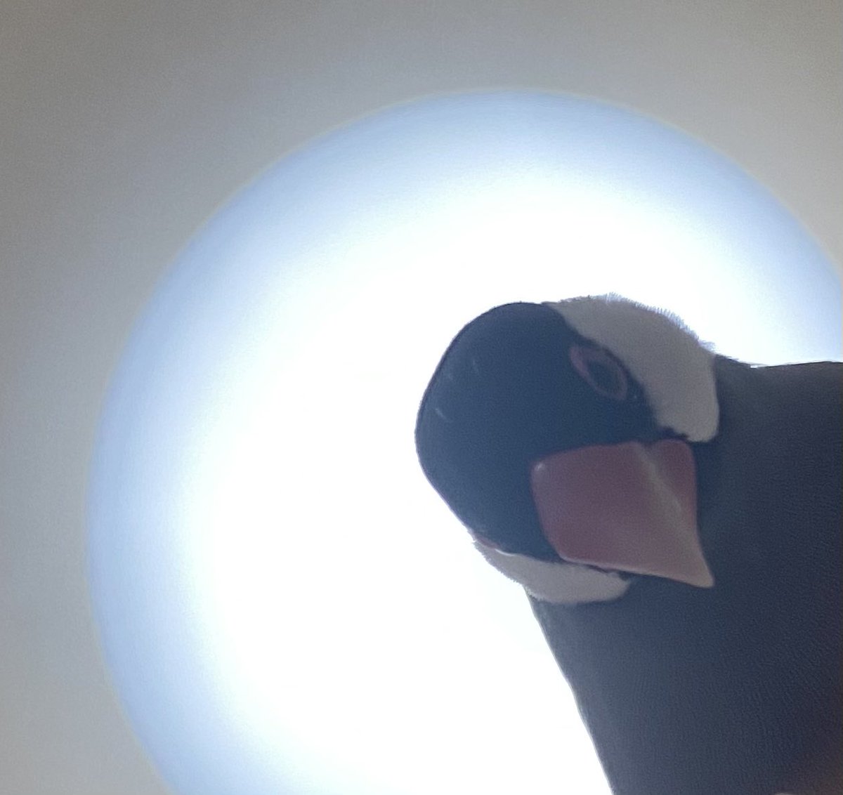 目が覚めたか？ 