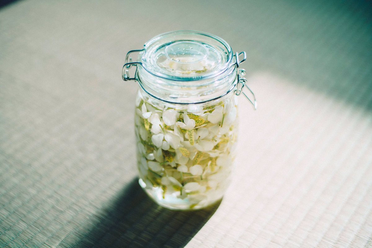 ドクダミの花を焼酎に漬け込むとそのへんの蚊のかゆみ止め薬よりもめっちゃ効き目あるので毎年この季節になると作ってしまいます