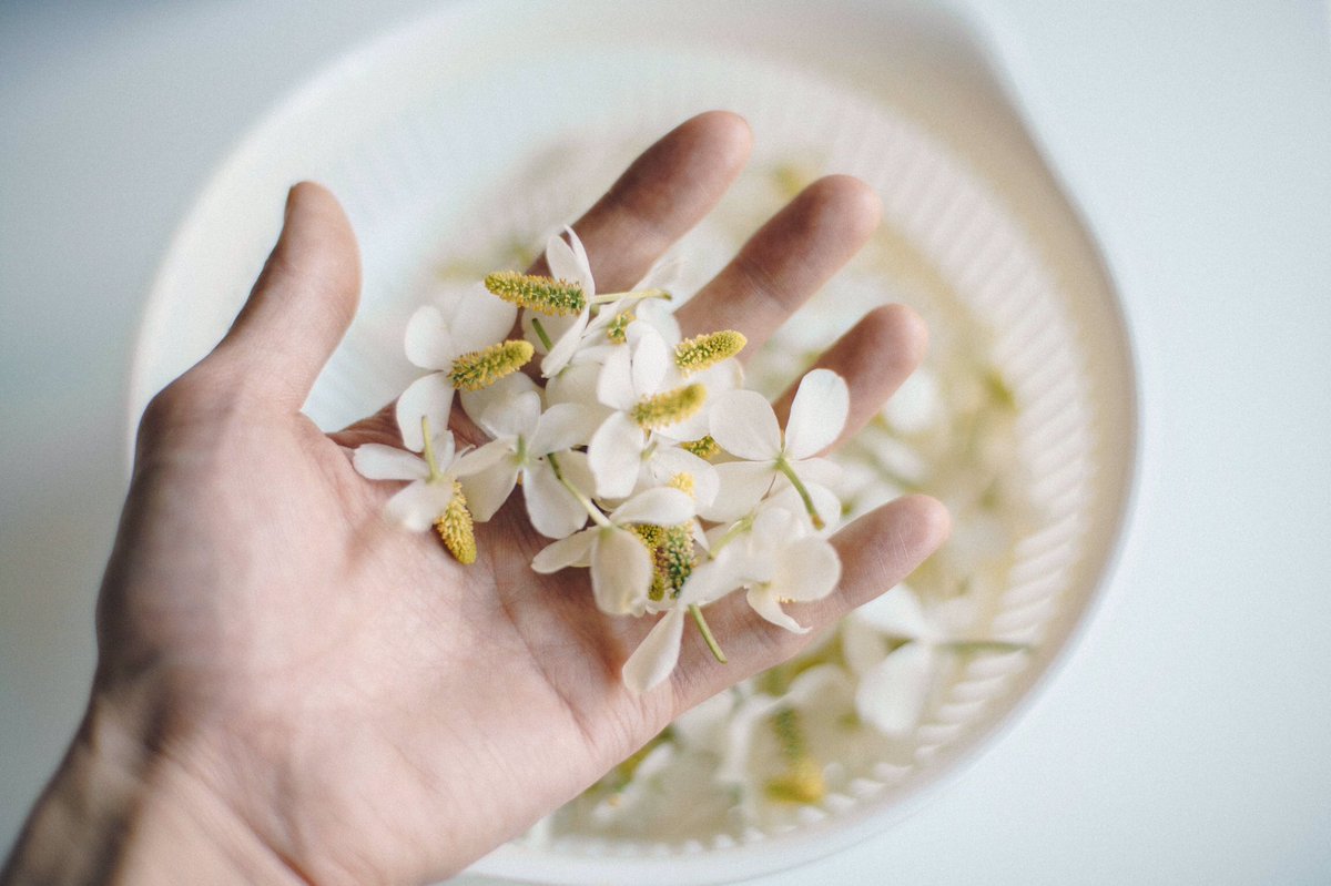 ドクダミの花を焼酎に漬け込むとそのへんの蚊のかゆみ止め薬よりもめっちゃ効き目あるので毎年この季節になると作ってしまいます