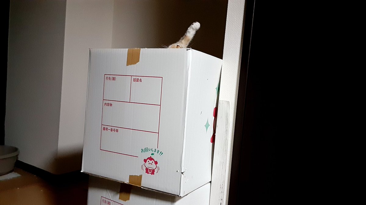 ウソみたいだろ。 寝てるんだぜ。これで…… 