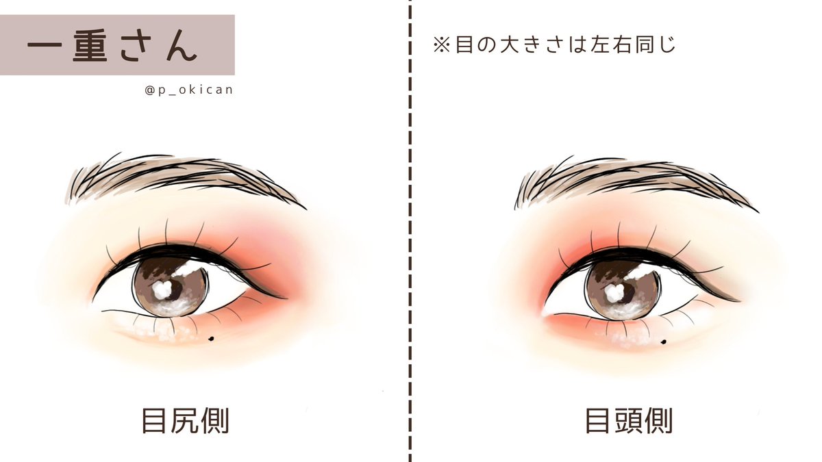   目尻を強調     →横長でくっきりとした印象 目頭を強調     →縦長で柔らかい印象  ※どちらが似合うかは顔立ちにもよると思うので正解はないです🕊 