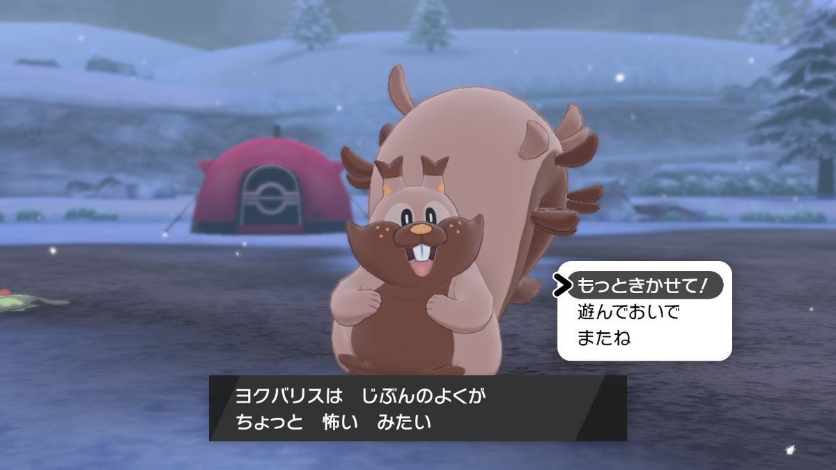 #ポケモン剣盾 #NintendoSwitch お前も悩んでるんだな・・・ 