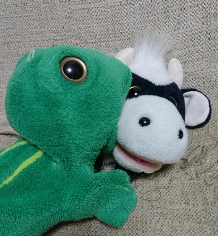   みんなが幸せな気持ちになってくれたら、きっとうしくんも本望だと思います