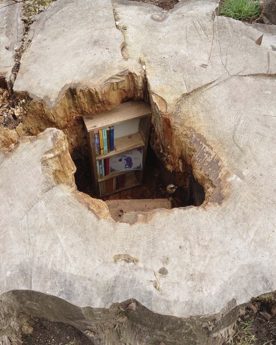 樹齢128年の木の内側が腐敗してしまった為、小休憩できる場所として蘇らせたそうです