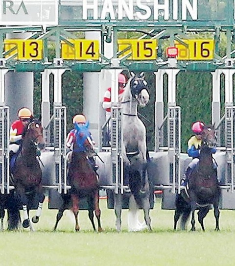 これは末代まで語るんだけど、いまウマ娘などで話題のゴールドシップですが、僕が35万円ぶち込んだゴールドシップの発走です