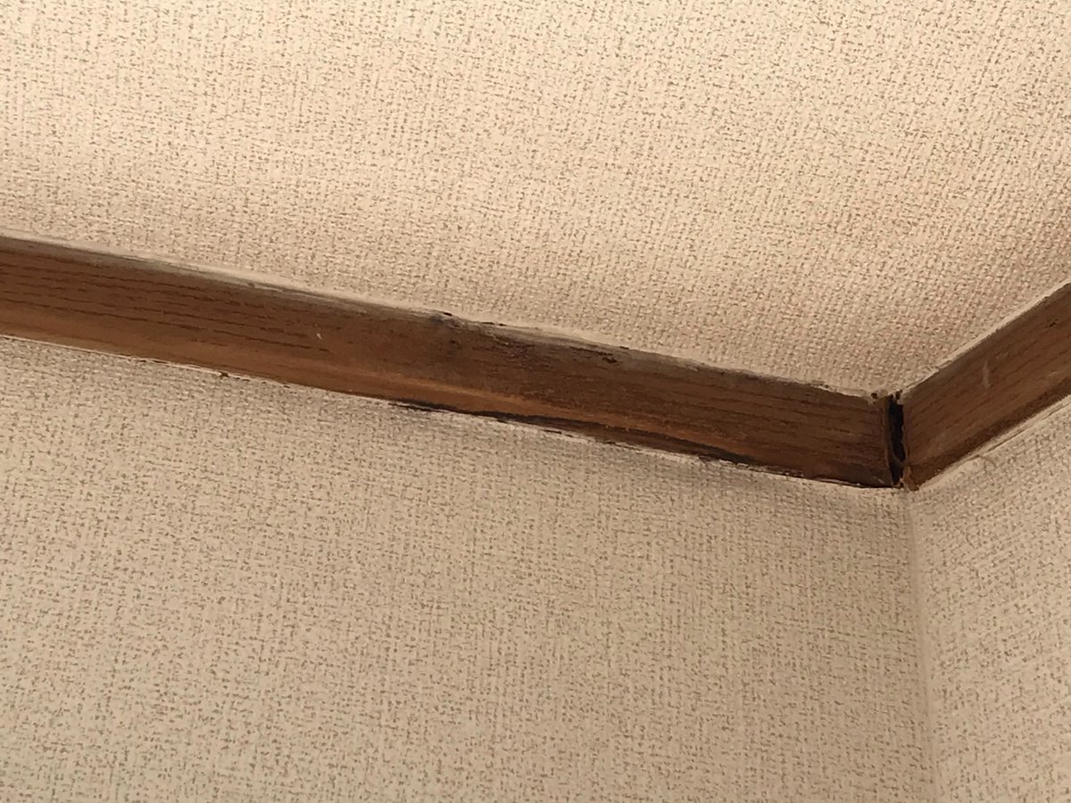 大東建託がハウスクリーニングを行なった部屋にもかかわらず床が蟻だらけ