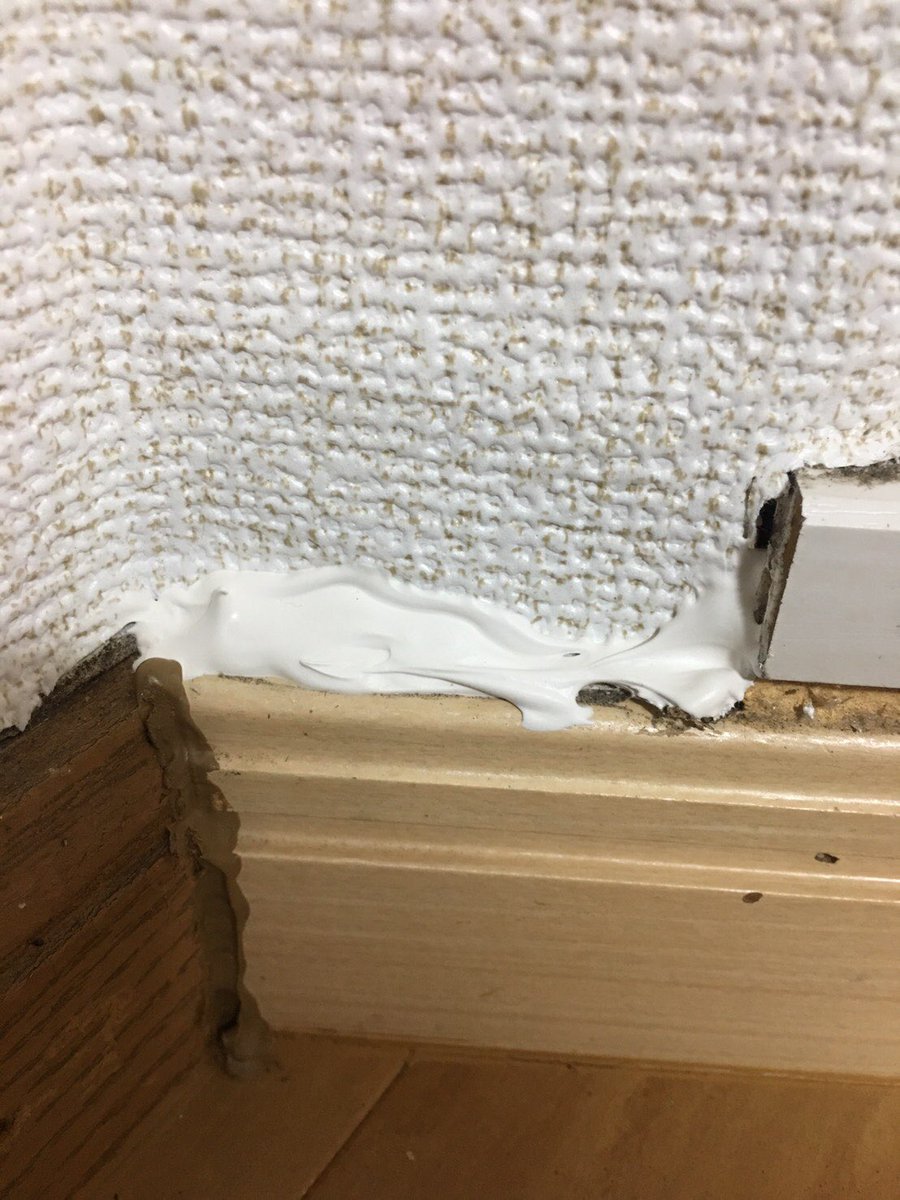 大東建託がハウスクリーニングを行なった部屋にもかかわらず床が蟻だらけ