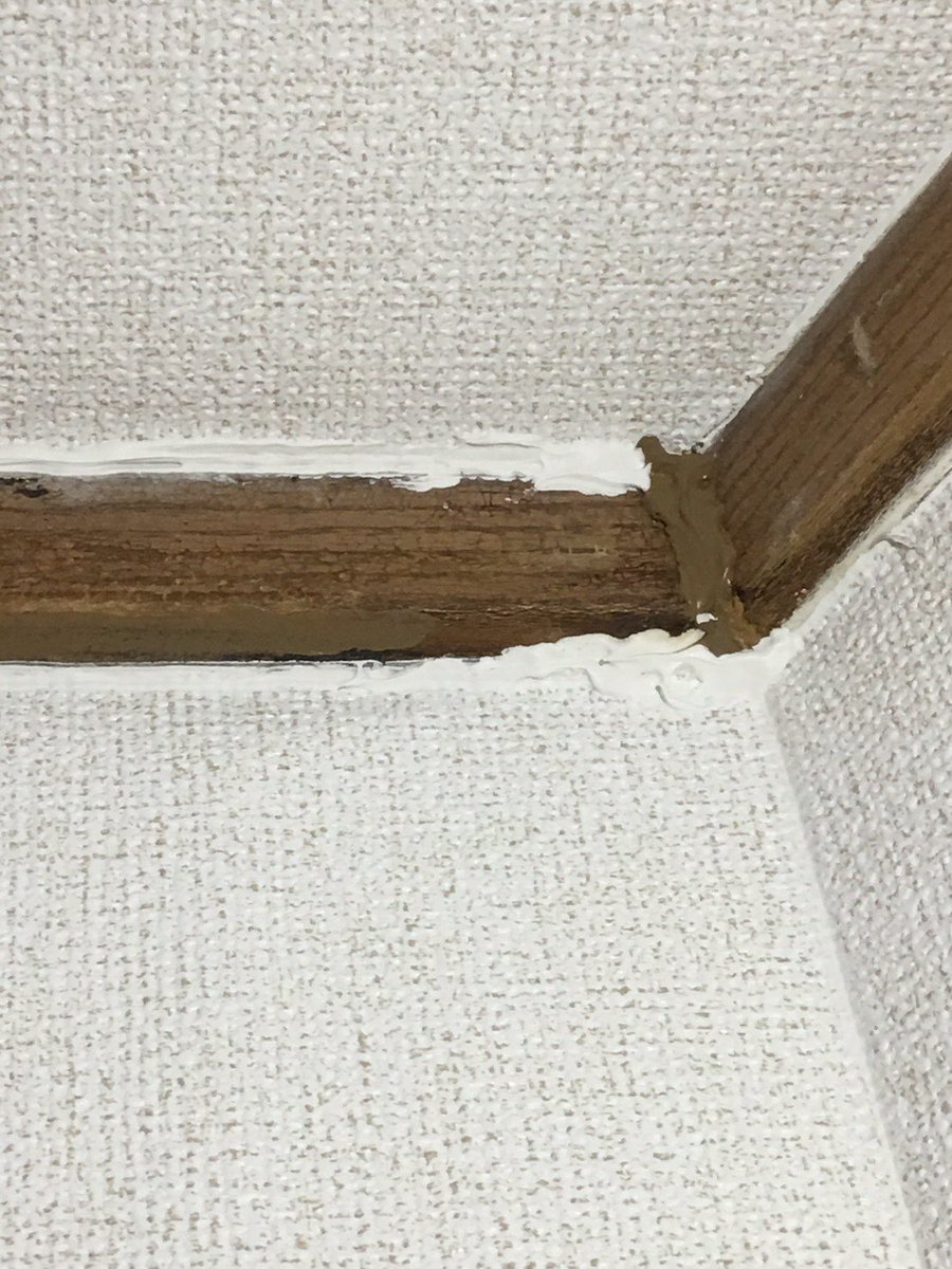 大東建託がハウスクリーニングを行なった部屋にもかかわらず床が蟻だらけ