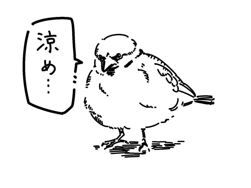 納涼を勧めてくるスズメ