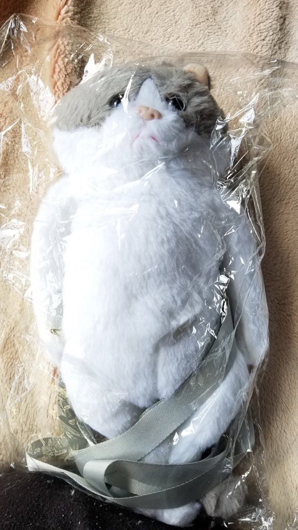  他にも複数の方からお写真を頂きましたが全て同様のお品です