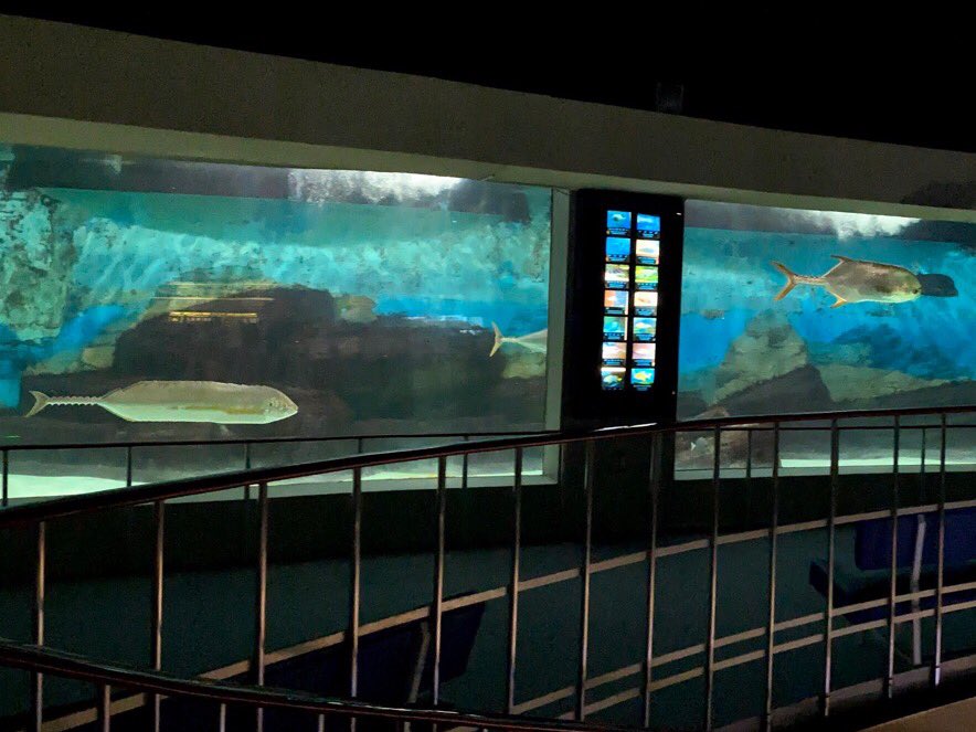 パノラマ撮影失敗あるある 