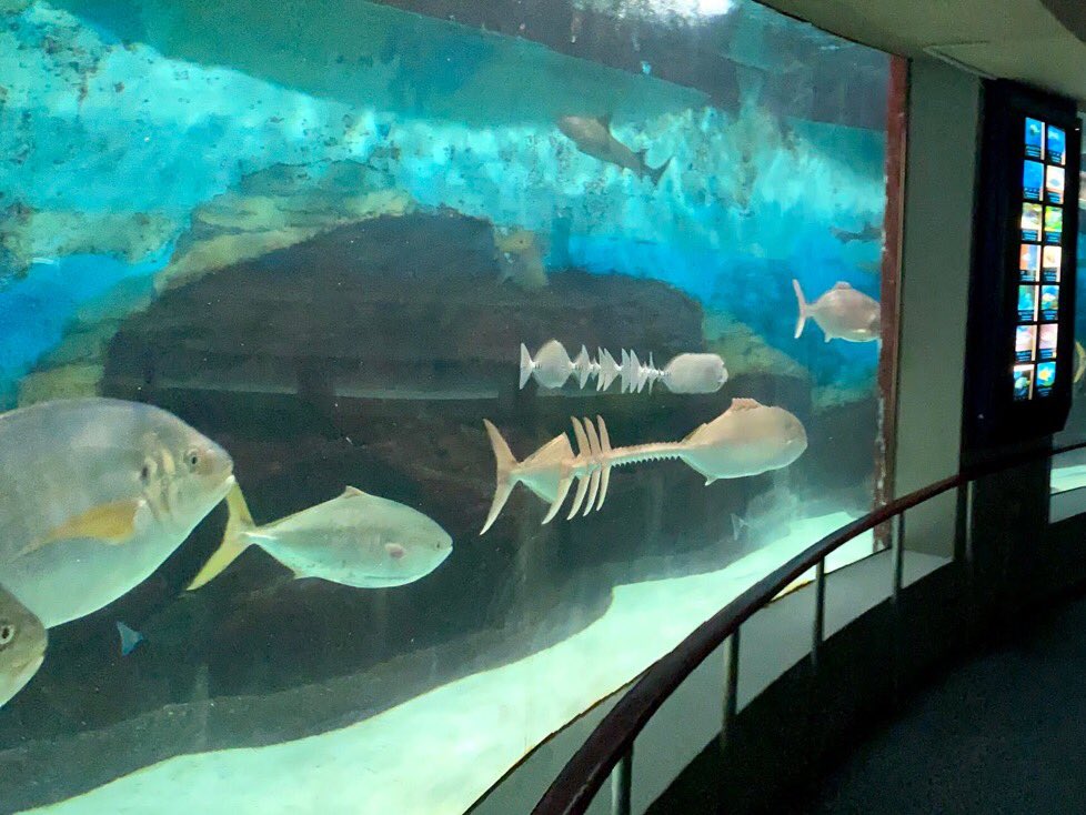 パノラマ撮影失敗あるある 