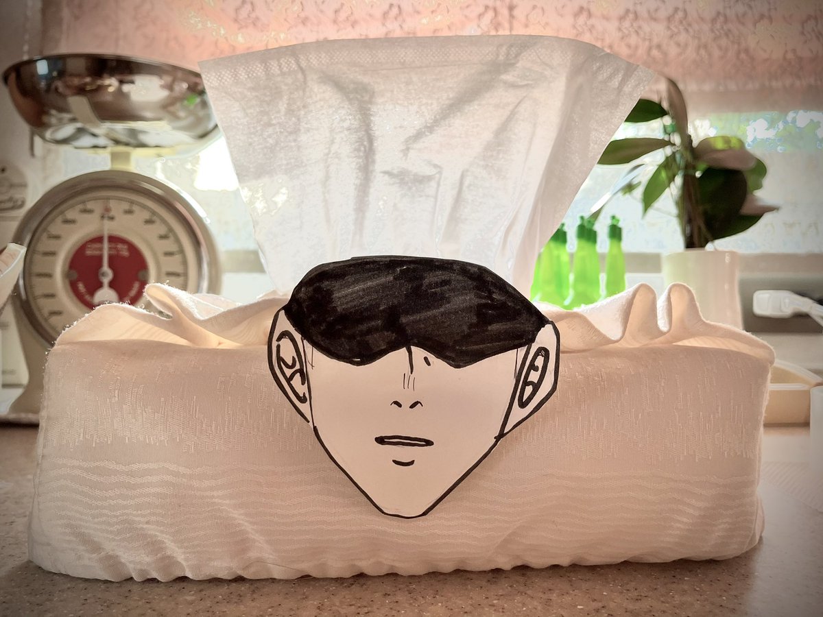 家のティッシュケースを5️⃣にする遊び(怒られた) 