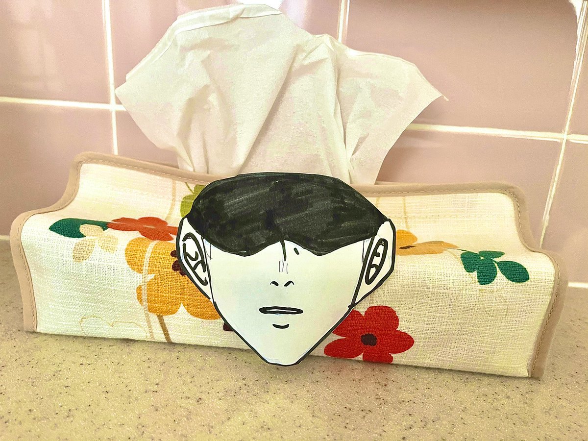 家のティッシュケースを5️⃣にする遊び(怒られた) 