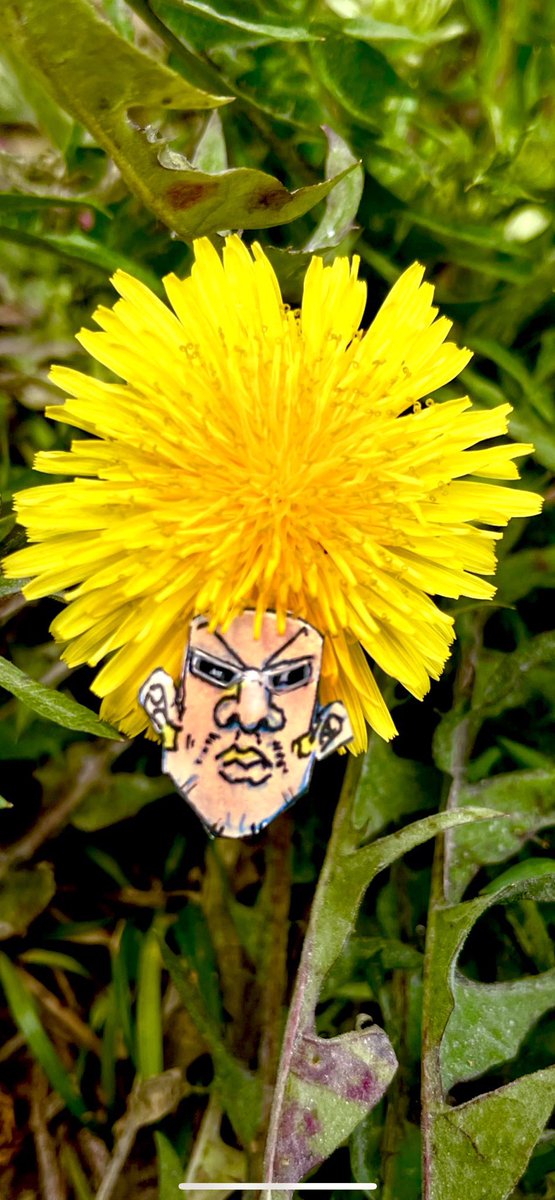 タンポポでボボボーボ・ボーボボ作った 