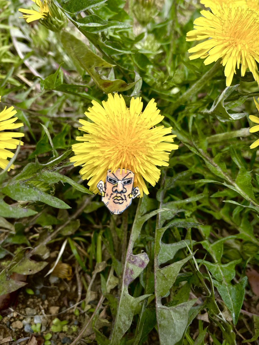 タンポポでボボボーボ・ボーボボ作った 